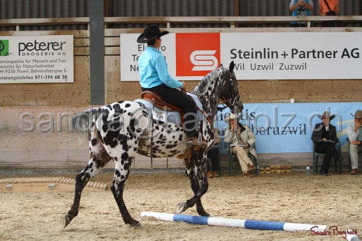 26-ApHC GT_061.jpg